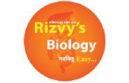 rizvy